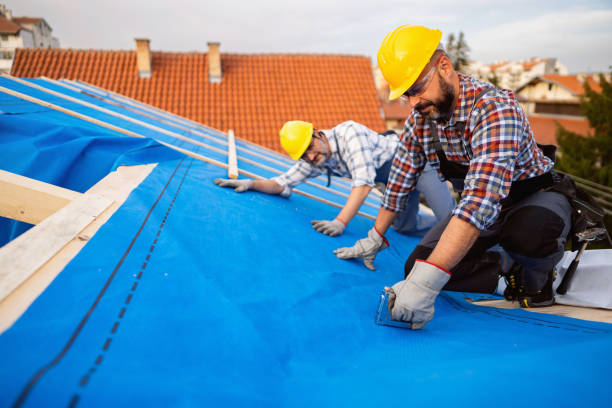 Best Local Roofing Companies  in Calais, ME