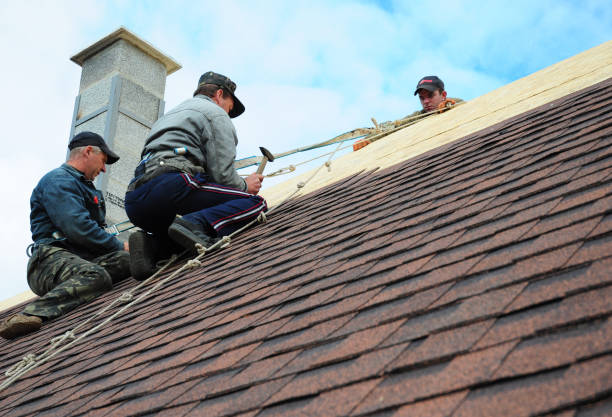Best Gutter Installation and Roofing  in Calais, ME